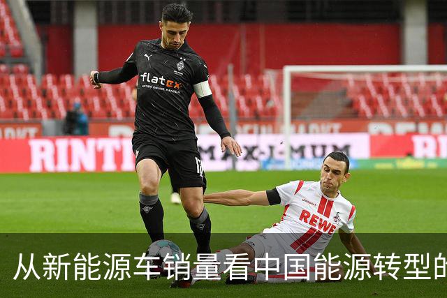 从新能源车销量看中国能源转型的世界启示
