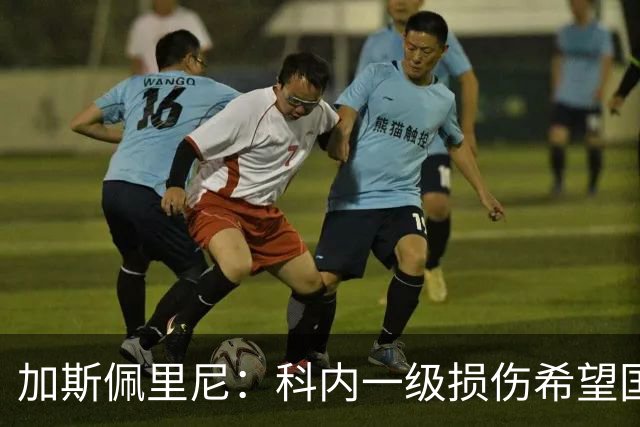 加斯佩里尼：科内一级损伤希望国际比赛日前复出，迪巴拉小腿疲劳