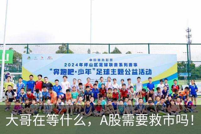 大哥在等什么，A股需要救市吗！