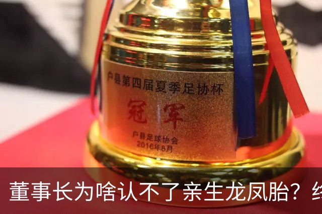 董事长为啥认不了亲生龙凤胎？终于真相大白！